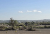 Parcel·la urbanitzable en venda a Algaida ref.: TR184943 foto