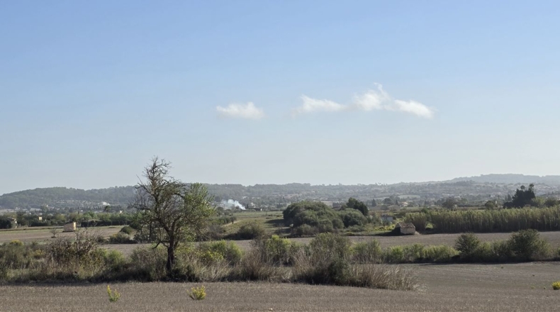 Balearic Islands - Algaida - 15076m2