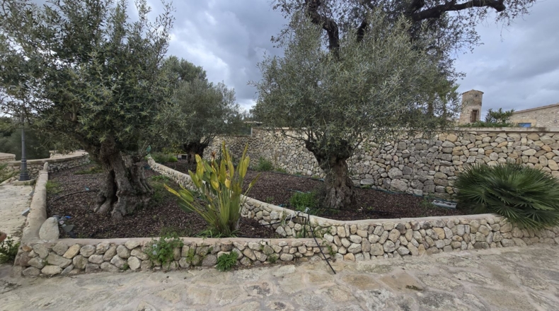 Islas Baleares - Montuïri - 317000m2