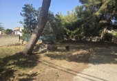 Chalet independiente con terreno en venta en Palma ref: TR258406 foto