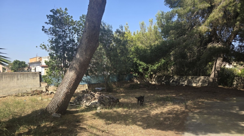 Islas Baleares - Palma - 822m2