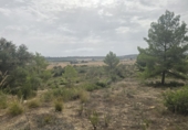 Parcela urbanizable en venta en Montuïri ref: TR334794 foto