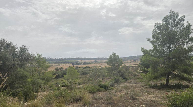 Illes Balears - Montuïri - 14773m2