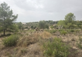 Parcela urbanizable en venta en Montuïri ref: TR334794 foto