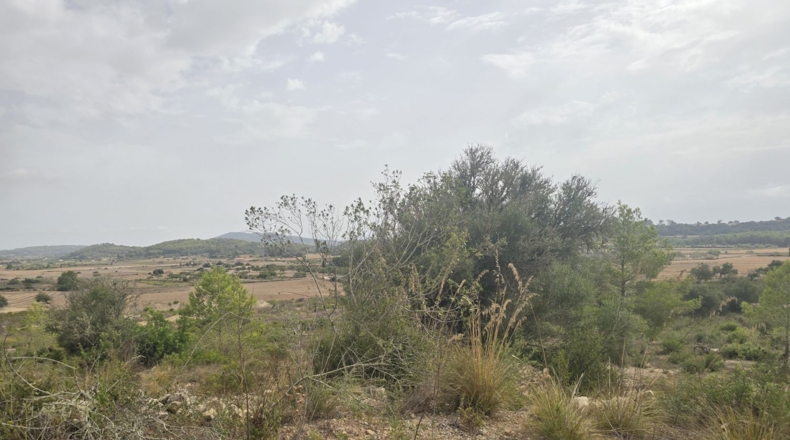 Illes Balears - Montuïri - 14773m2