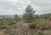 Parcela urbanizable en venta en Montuïri ref: TR334794 foto