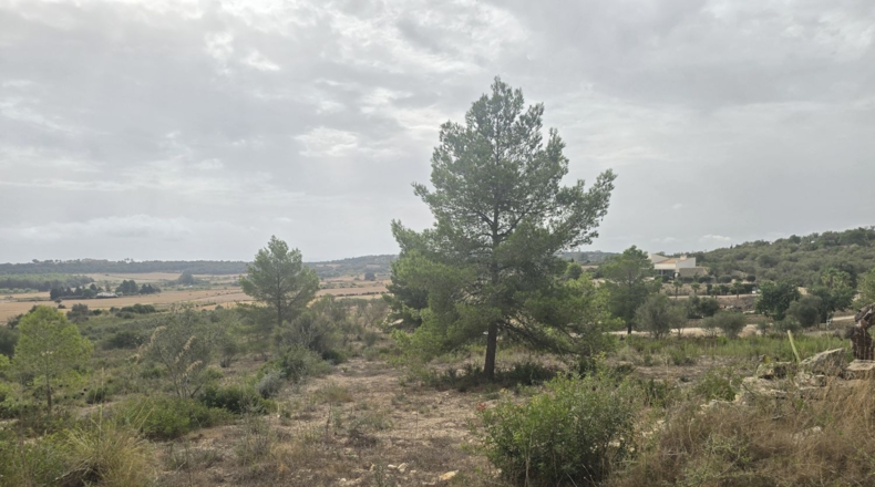 Illes Balears - Montuïri - 14773m2