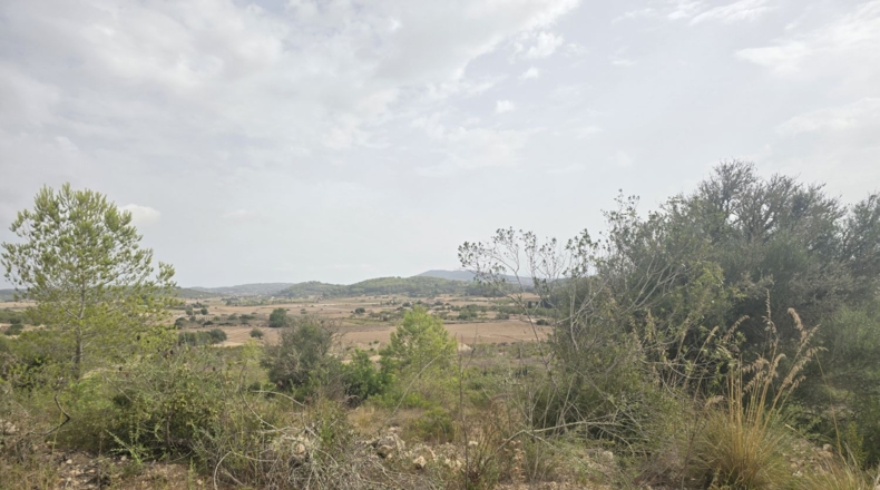 Illes Balears - Montuïri - 14773m2