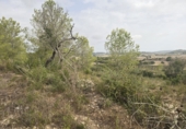 Parcela urbanizable en venta en Montuïri ref: TR334794 foto