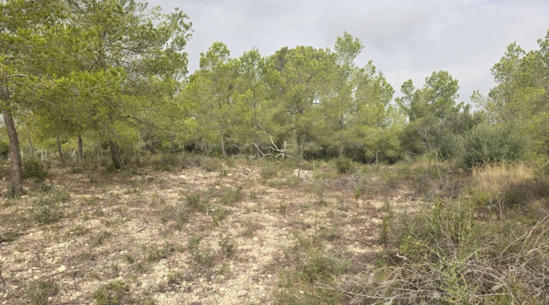 Illes Balears - Montuïri - 14773m2