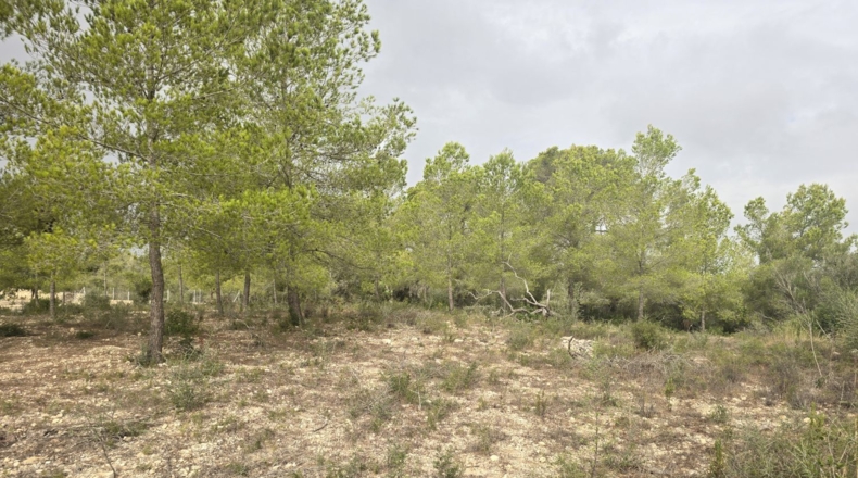 Illes Balears - Montuïri - 14773m2