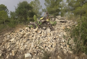 Foto 11