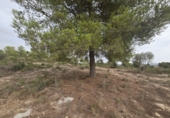 Parcela urbanizable en venta en Montuïri ref: TR334794 foto