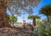 Rural estate for sale in Santa Eulalia ref: TR352641 photo