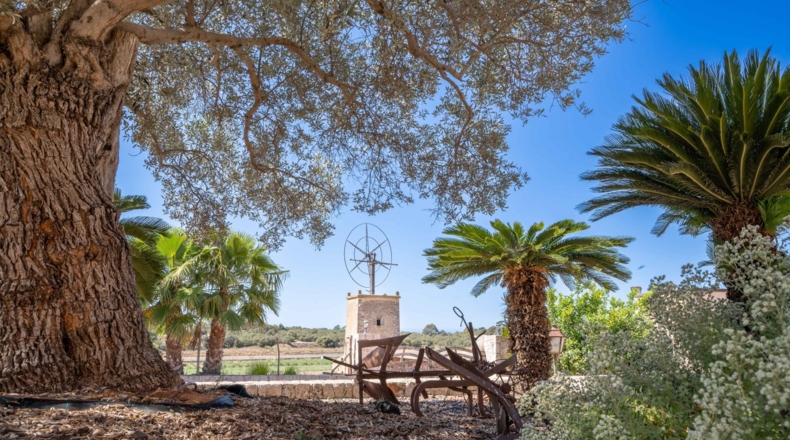 Teruel - Santa Eulalia - 152000m2