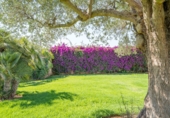 Rural estate for sale in Santa Eulalia ref: TR352641 photo