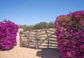 Rural estate for sale in Santa Eulalia ref: TR352641 photo