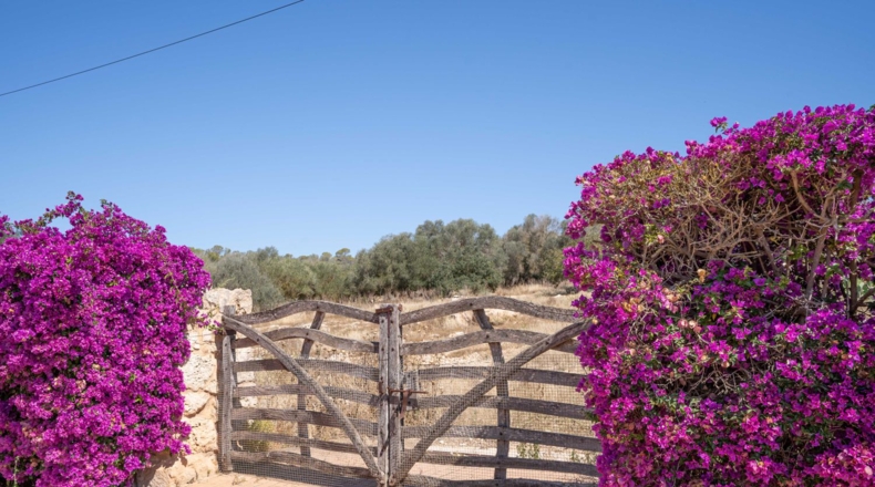 Teruel - Santa Eulalia - 152000m2