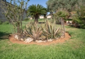 Rural estate for sale in Santa Eulalia ref: TR352641 photo