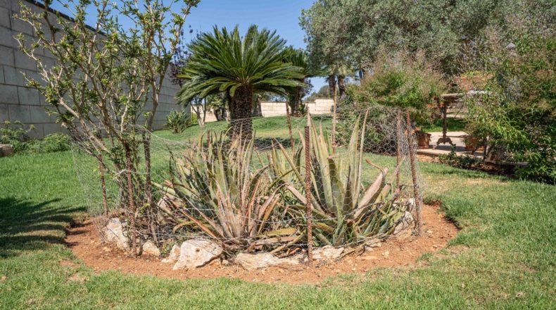 Teruel - Santa Eulalia - 152000m2