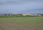 Terreny no urbanitzable en venda a Montuïri ref.: TR355148 foto