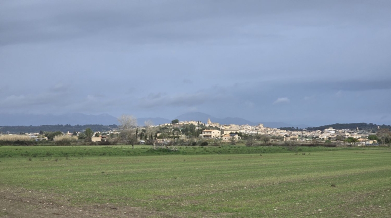 Islas Baleares - Montuïri - 18000m2