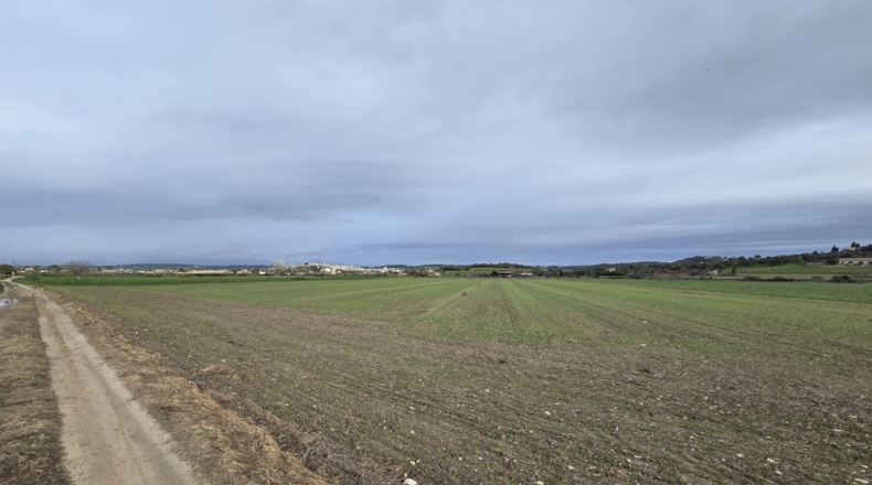Islas Baleares - Montuïri - 18000m2