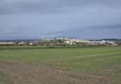 Terreny no urbanitzable en venda a Montuïri ref.: TR355148 foto