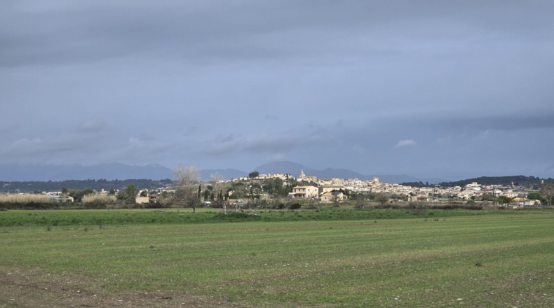 Islas Baleares - Montuïri - 18000m2