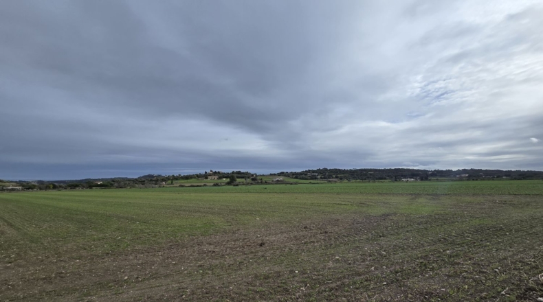 Islas Baleares - Montuïri - 18000m2