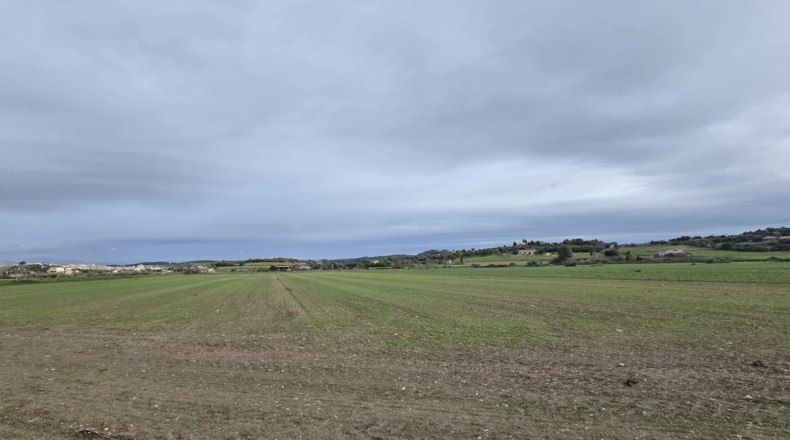 Islas Baleares - Montuïri - 18000m2