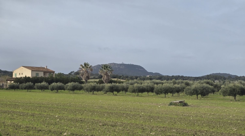 Islas Baleares - Montuïri - 18000m2