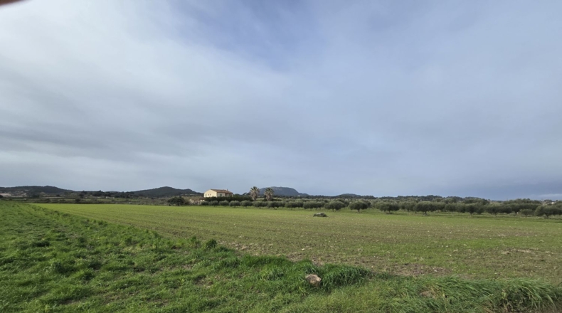 Islas Baleares - Montuïri - 18000m2