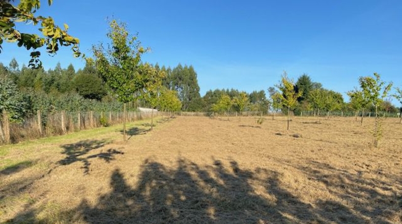 La Coruña - Carballotorto - 7700m2