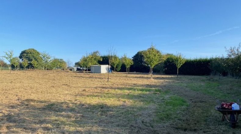La Coruña - Carballotorto - 7700m2