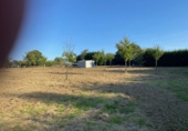 Non-developable land for sale in Ponte Aranga ref: TR381650 photo