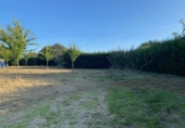 Non-developable land for sale in Ponte Aranga ref: TR381650 photo