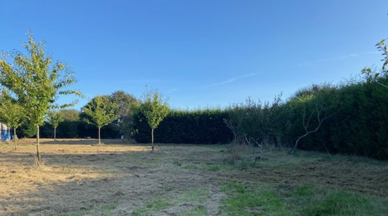 La Coruña - Carballotorto - 7700m2