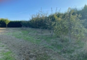 Non-developable land for sale in Ponte Aranga ref: TR381650 photo