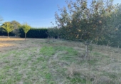 Non-developable land for sale in Ponte Aranga ref: TR381650 photo
