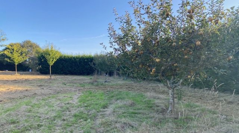 La Coruña - Carballotorto - 7700m2