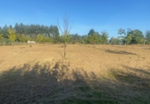 Non-developable land for sale in Ponte Aranga ref: TR381650 photo