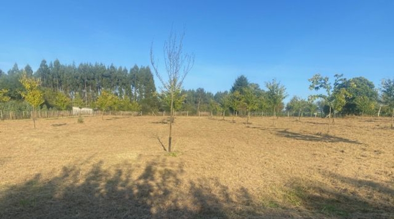 La Coruña - Carballotorto - 7700m2