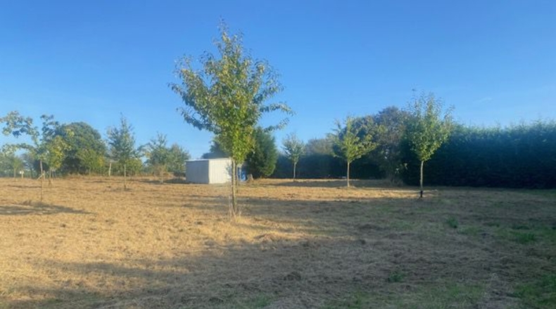 La Coruña - Carballotorto - 7700m2