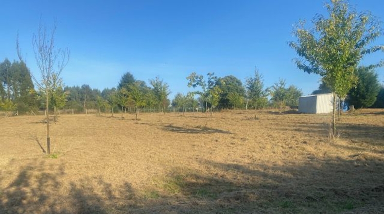 La Coruña - Carballotorto - 7700m2