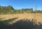 Non-developable land for sale in Ponte Aranga ref: TR381650 photo