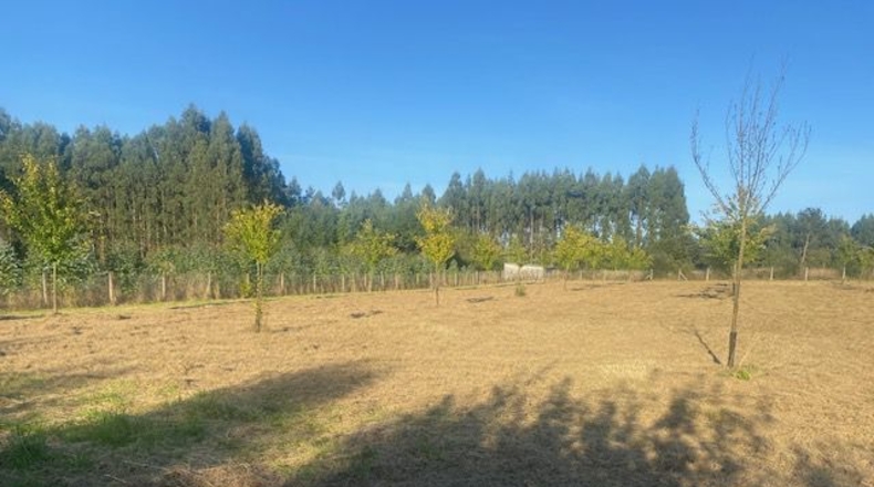 La Coruña - Carballotorto - 7700m2