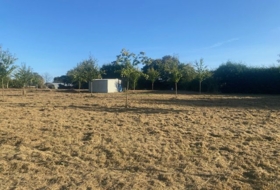 Foto 15