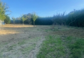 Non-developable land for sale in Ponte Aranga ref: TR381650 photo