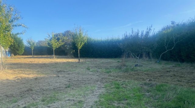 La Coruña - Carballotorto - 7700m2
